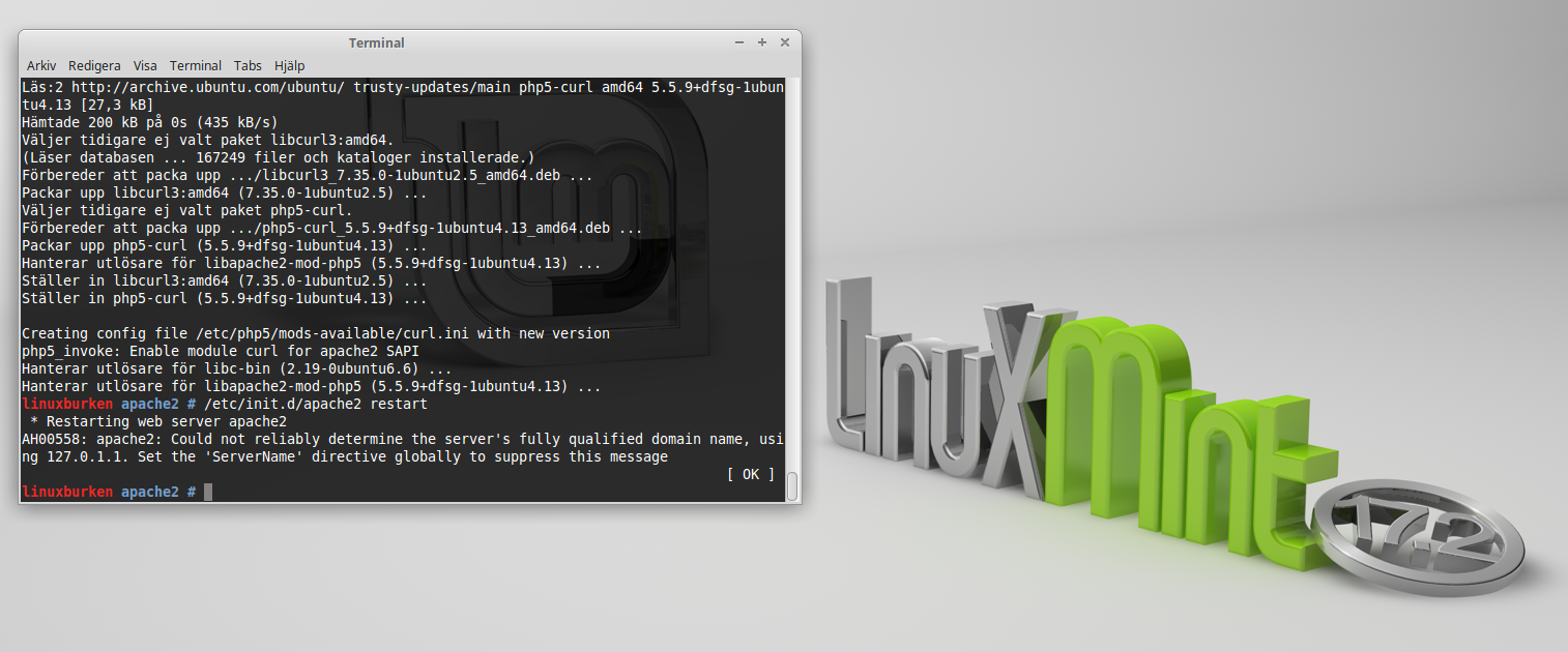 virtualbox linux mint 17